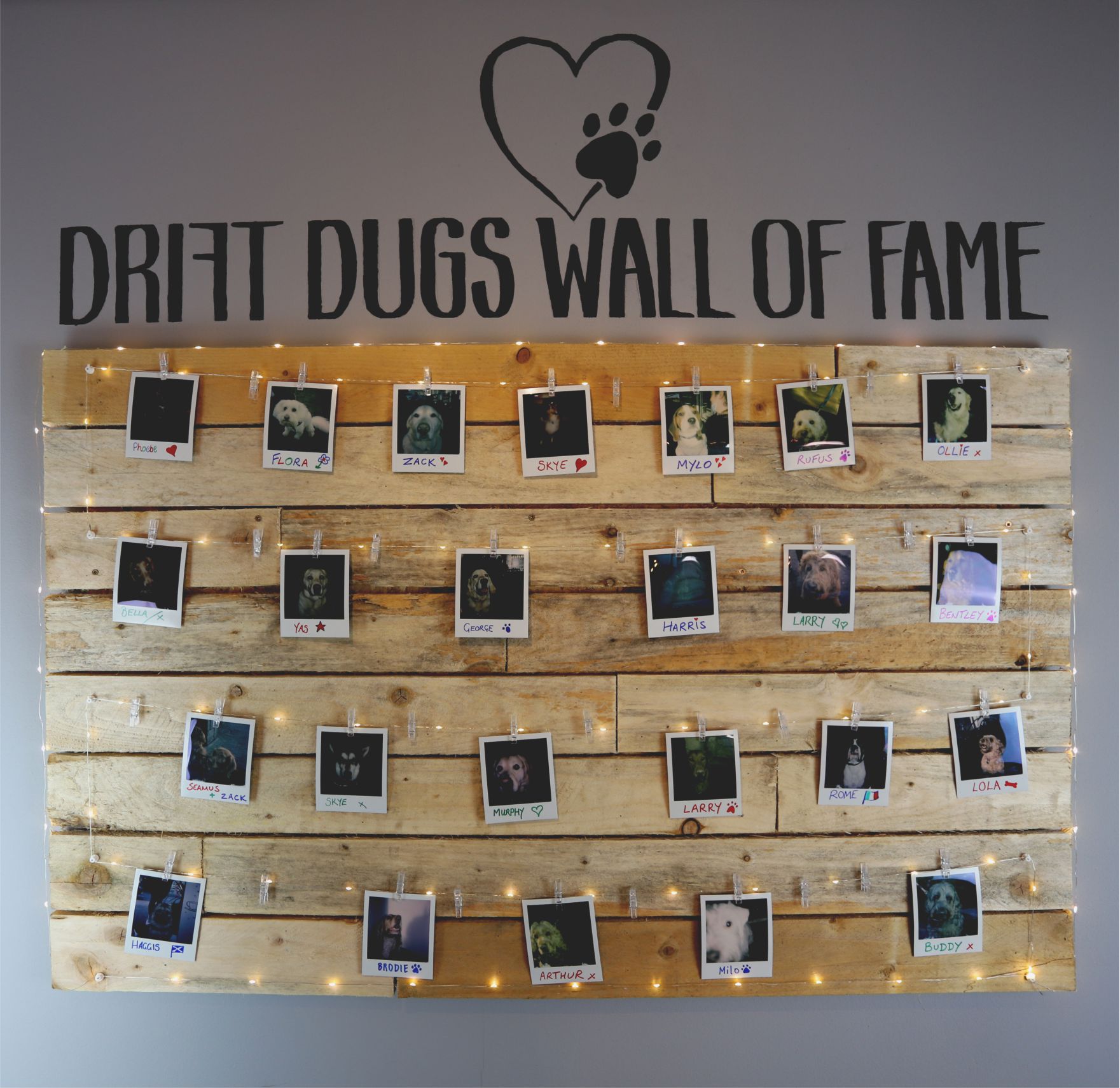 drift_dogs_wall